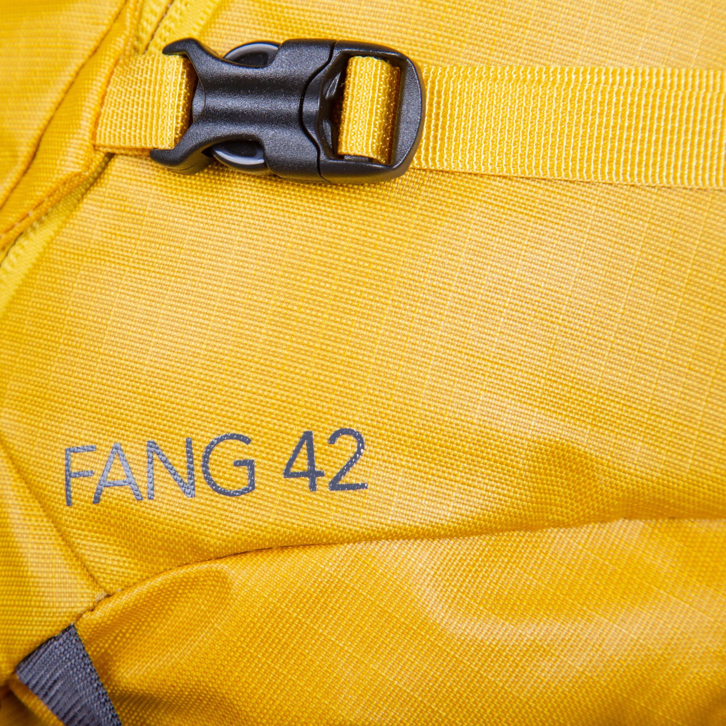 Fang 42+ - Image 17