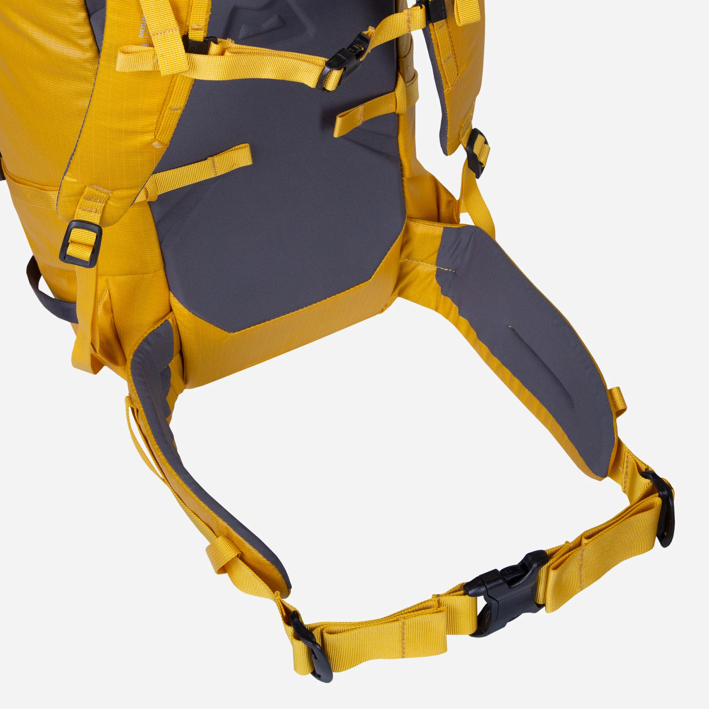 Fang 42+ - Image 5